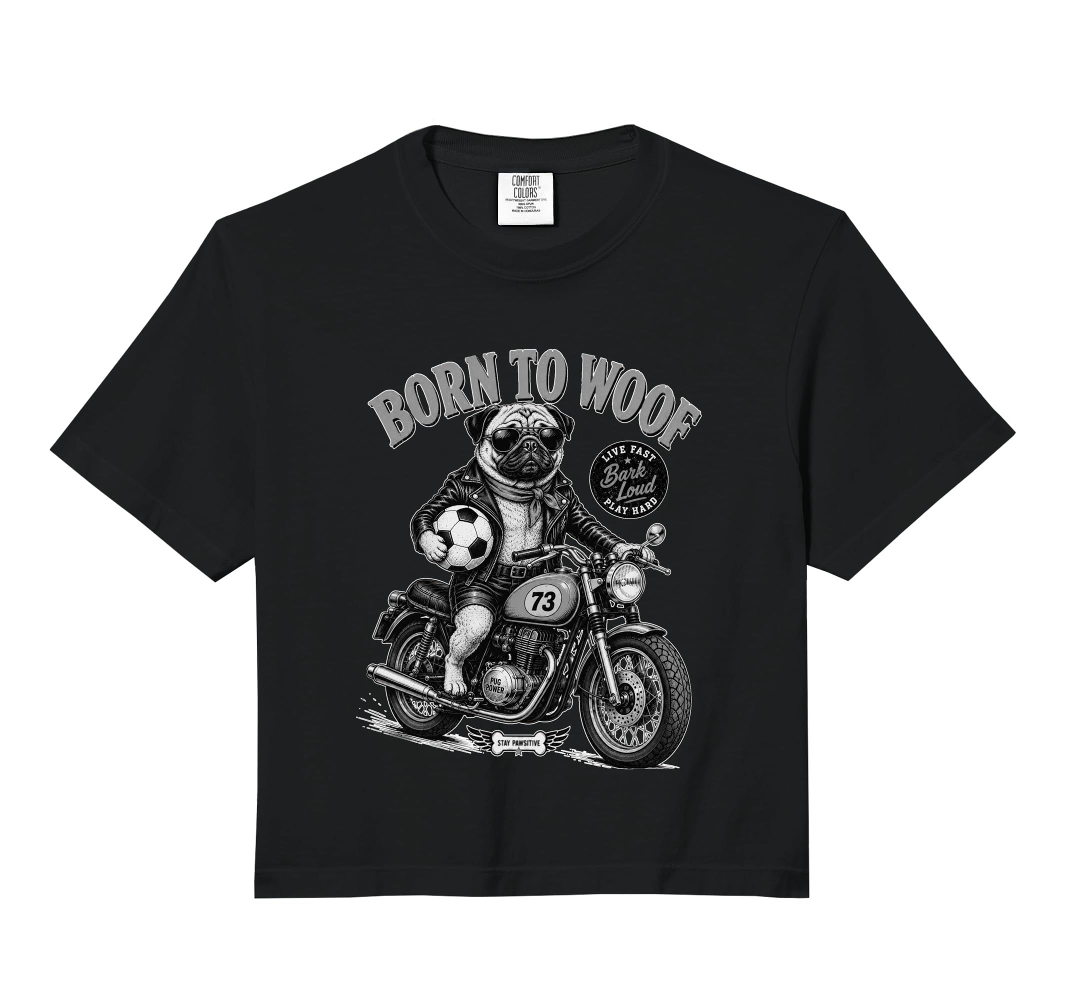Pug Dog Motorbike Love Footbal Hoodie - Aesthetic Graphic for Adults - T-Shirt, Sweatshirt, Hoodie