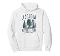 Sequoia National Park California Hoodie - Casual Everyday Wear Unisex - T-Shirt, Sweatshirt, Hoodie