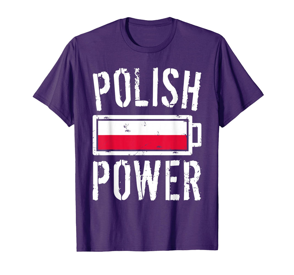 Poland Flag Polish Power Battery T-Shirt - Custom Art Print for Adults - T-Shirt, Sweatshirt, Hoodie