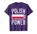 Poland Flag Polish Power Battery T-Shirt - Custom Art Print for Adults - T-Shirt, Sweatshirt, Hoodie
