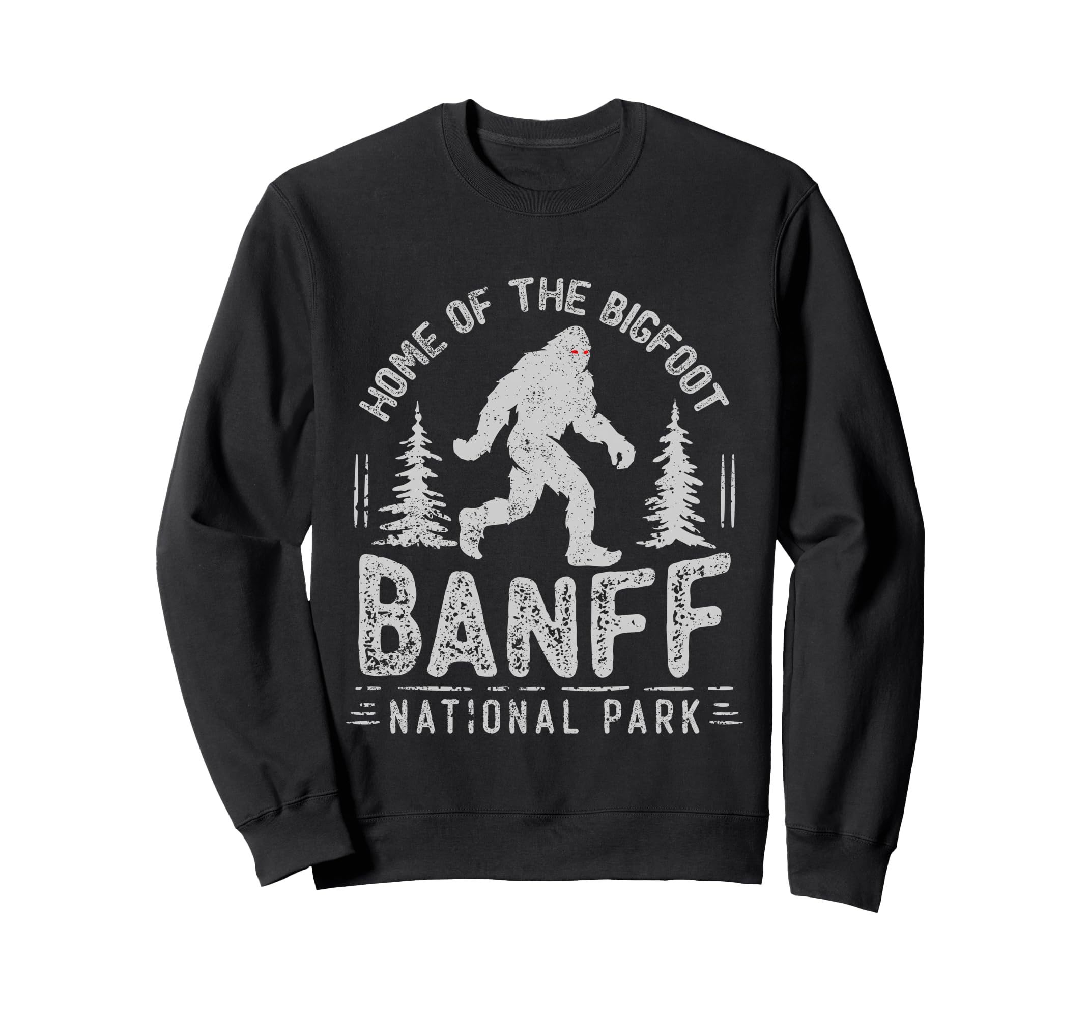 Banff Canadian National Park Sweatshirt - Minimalist Print Men Women - T-Shirt, Sweatshirt, Hoodie