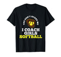 Softball Coach T-Shirt - Unique Graphic for Adults - T-Shirt, Sweatshirt, Hoodie