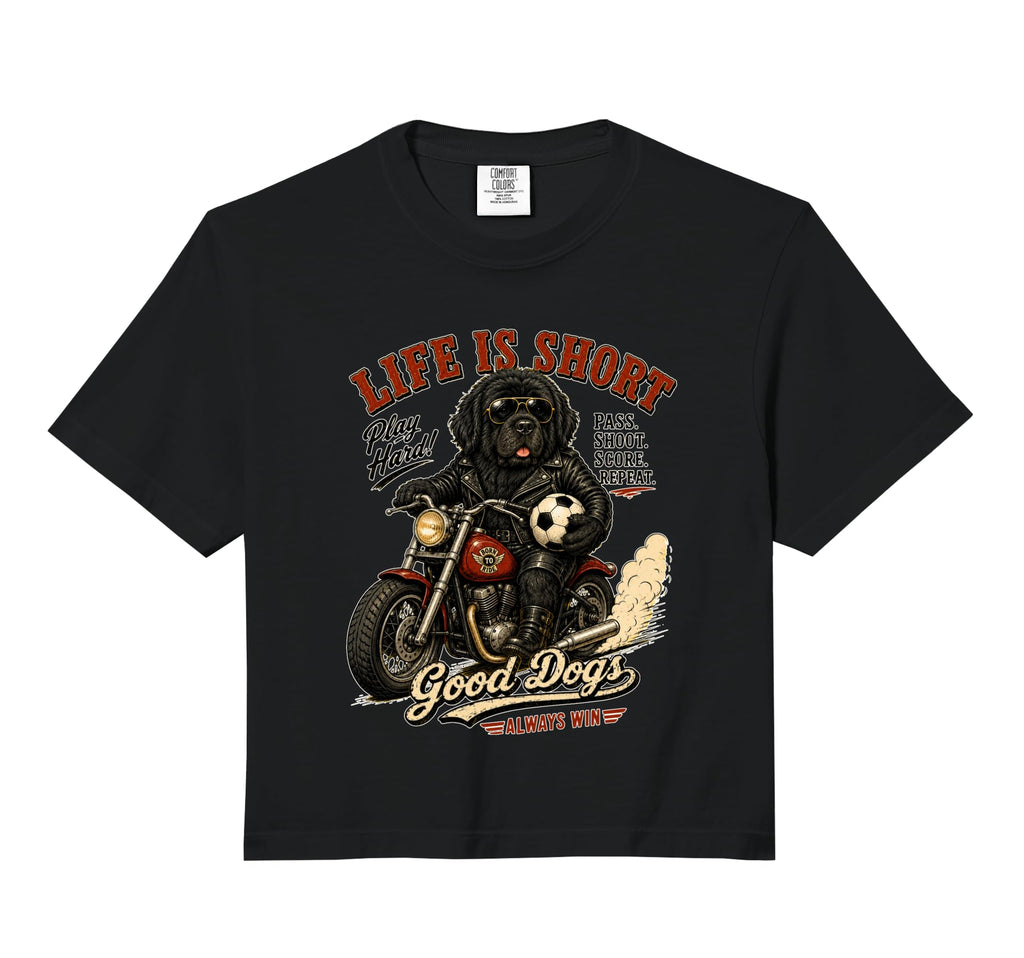 Newfoundland Motorbike Love Footbal Hoodie - Unique Graphic for Adults - T-Shirt, Sweatshirt, Hoodie