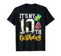 Its My 10Th Birthday Soccer Ball T-Shirt - Custom Art Print for Adults - T-Shirt, Sweatshirt, Hoodie