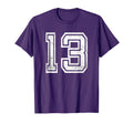 Number 13 Sport Distressed Number T-Shirt - Streetwear Style for Adults - T-Shirt, Sweatshirt, Hoodie