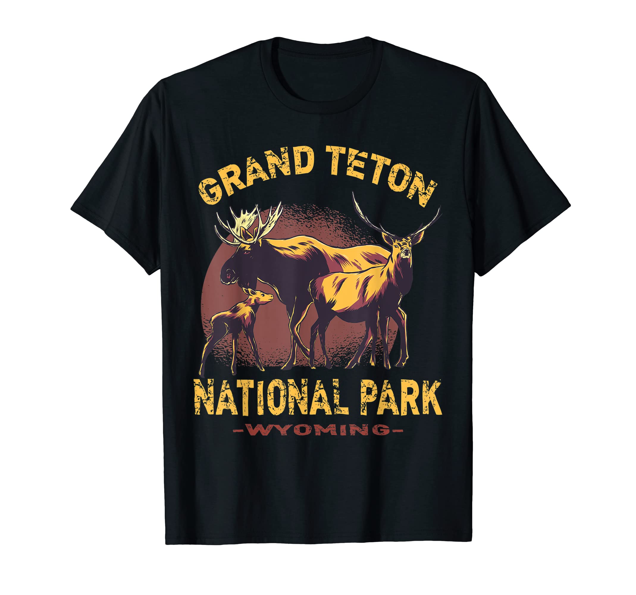 Grand Teton National Park Wyoming T-Shirt - Streetwear Style for Adults - T-Shirt, Sweatshirt, Hoodie