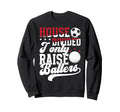 House Divided I Only Raise Ballers Sweatshirt - Novelty Apparel Men Women - T-Shirt, Sweatshirt, Hoodie