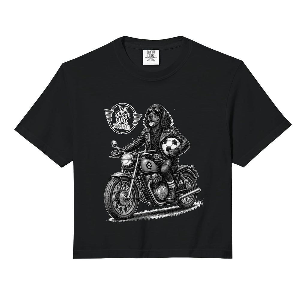 Gordon Setter Motorbike Love Footbal Hoodie - Custom Art Print Men Women - T-Shirt, Sweatshirt, Hoodie