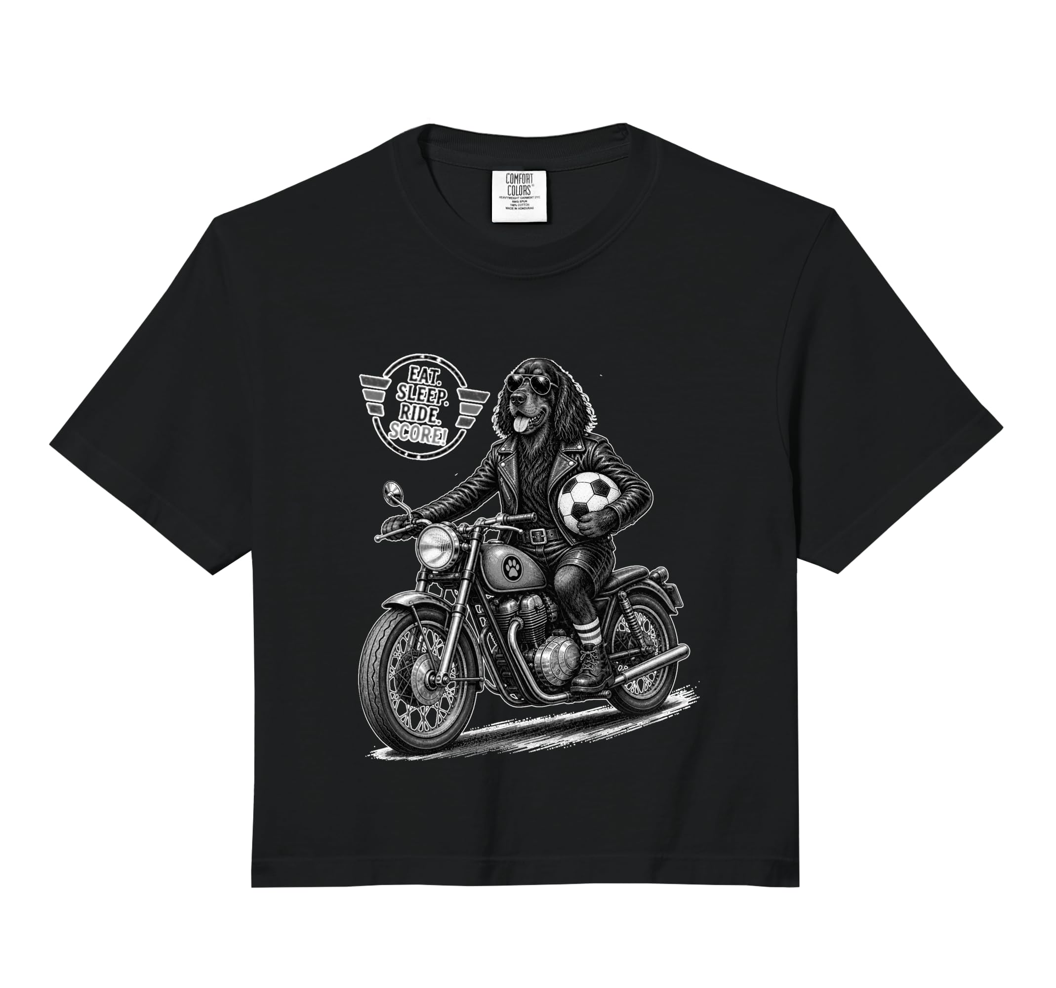 Gordon Setter Motorbike Love Footbal Hoodie - Custom Art Print Men Women - T-Shirt, Sweatshirt, Hoodie
