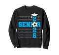 Senior 2026 Graduate Class 2026 Sweatshirt - Fun Novelty Design for Adults - T-Shirt, Sweatshirt, Hoodie