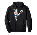 Paraguayn Football Player Paraguay Hoodie - Unique Graphic for Adults - T-Shirt, Sweatshirt, Hoodie