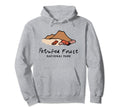 Family Vacation Petrified Forest Hoodie - Aesthetic Graphic for Adults - T-Shirt, Sweatshirt, Hoodie