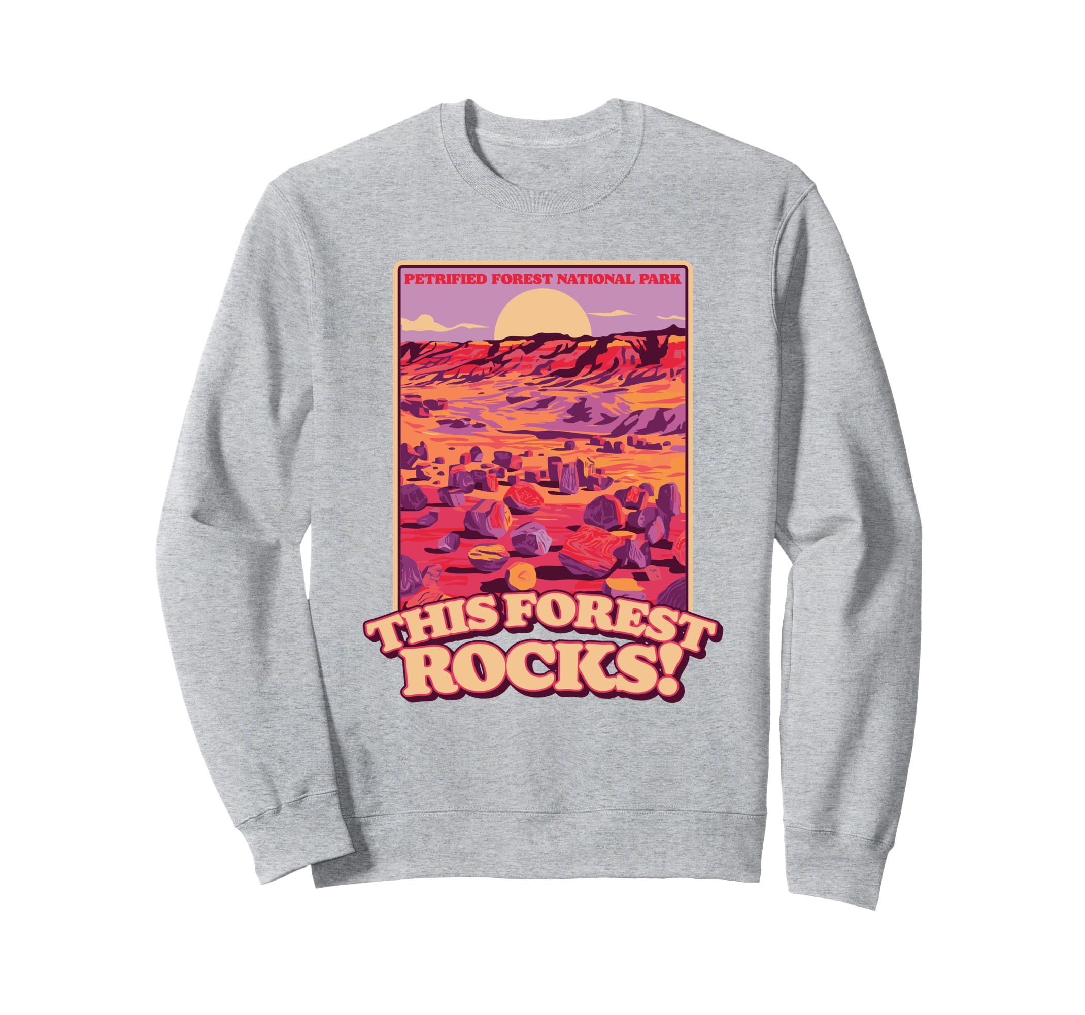Petrified Forest National Park Sweatshirt - Aesthetic Graphic Men Women - T-Shirt, Sweatshirt, Hoodie