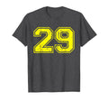 Number 29 Varsity Distressed Sport T-Shirt - Casual Everyday Wear Unisex - T-Shirt, Sweatshirt, Hoodie