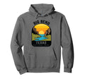 Big Bend National Park Texas National Hoodie - Casual Everyday Wear Unisex - T-Shirt, Sweatshirt, Hoodie