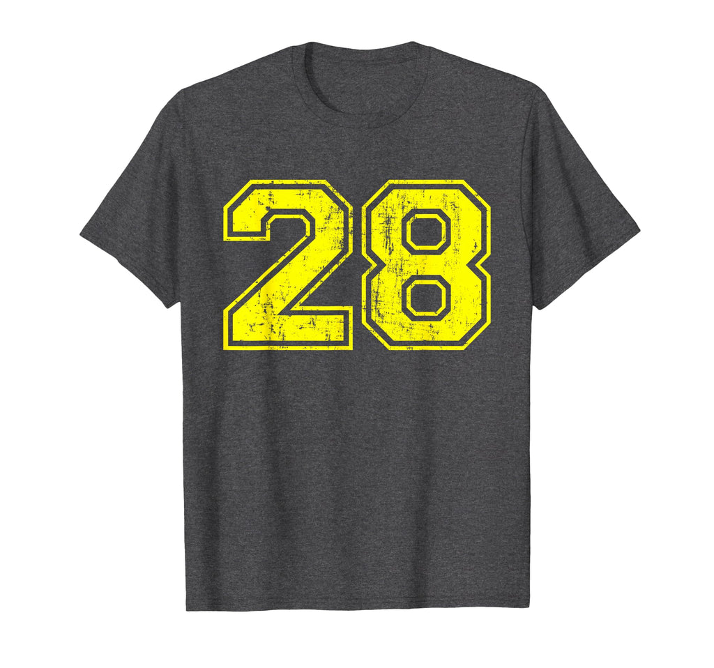 Number 28 Varsity Distressed Sport Team T-Shirt - Graphic Print for Adults - T-Shirt, Sweatshirt, Hoodie