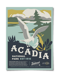 Acadia National Park Poster - Adult & Kids T-Shirts, Sweatshirts & Hoodies apparel design preview 1