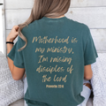 Proverbs 22:6 Graphic Christian Faith Summer - Adult & Kids T-Shirts, Sweatshirts & Hoodies apparel design preview 1