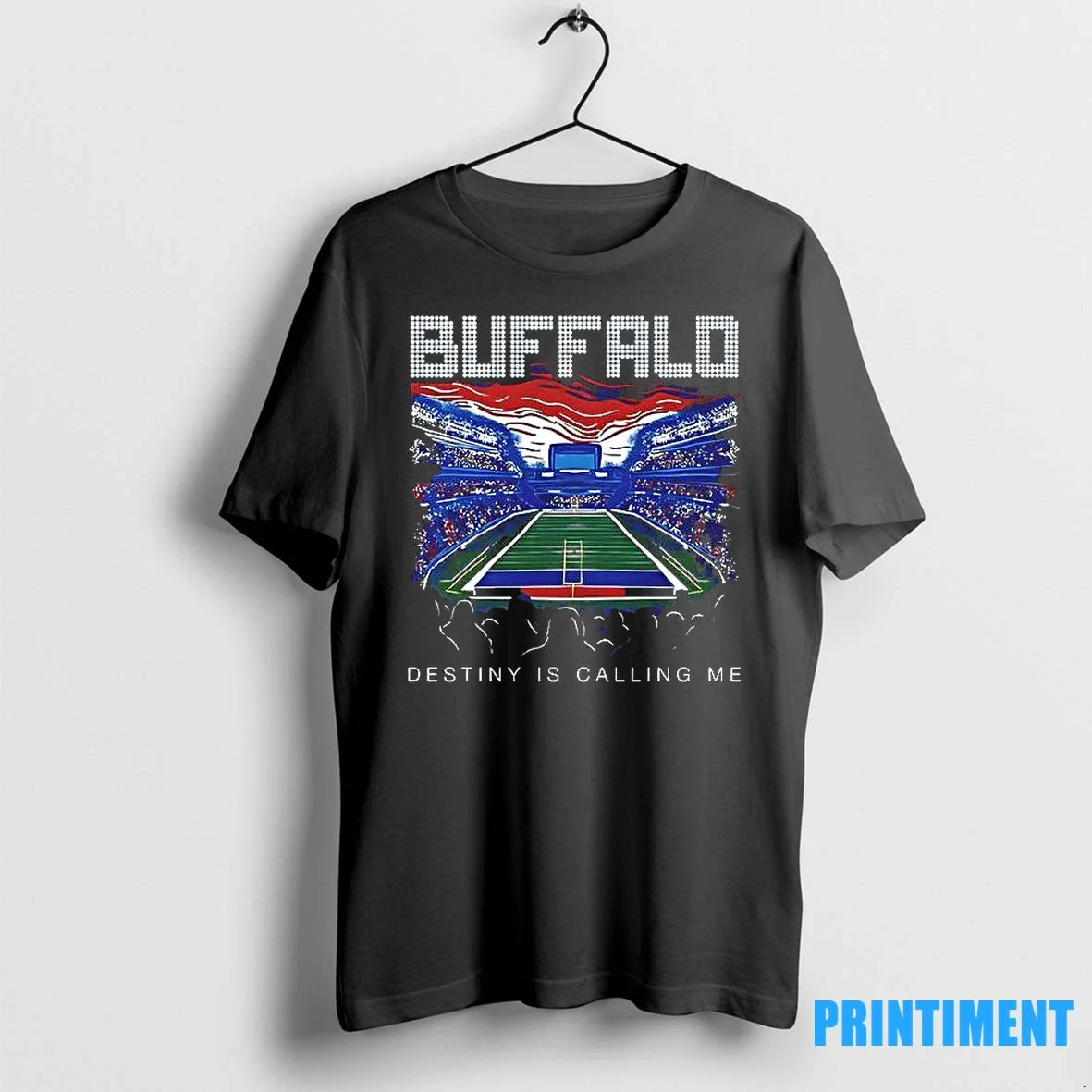 Buffalo Stadium Destiny Is Calling Me Sweater - Adult & Kids T-Shirts, Sweatshirts & Hoodies apparel design preview 1