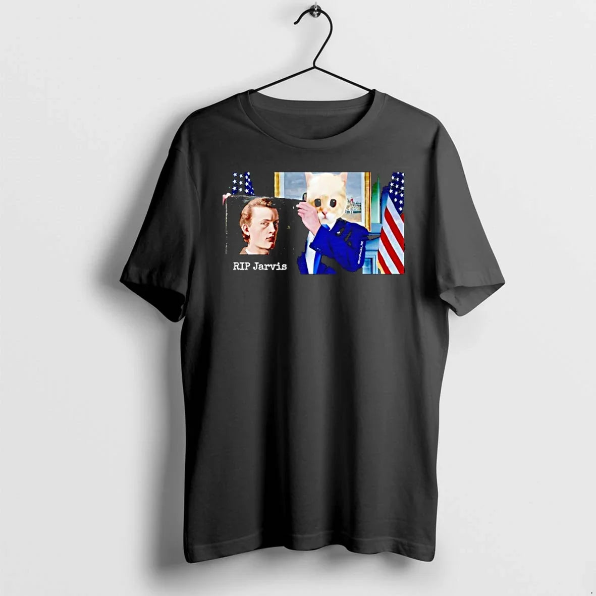 Cat Trump Rip Jarvis Edvard Munch Sweater - Adult & Kids T-Shirts, Sweatshirts & Hoodies apparel design preview 1