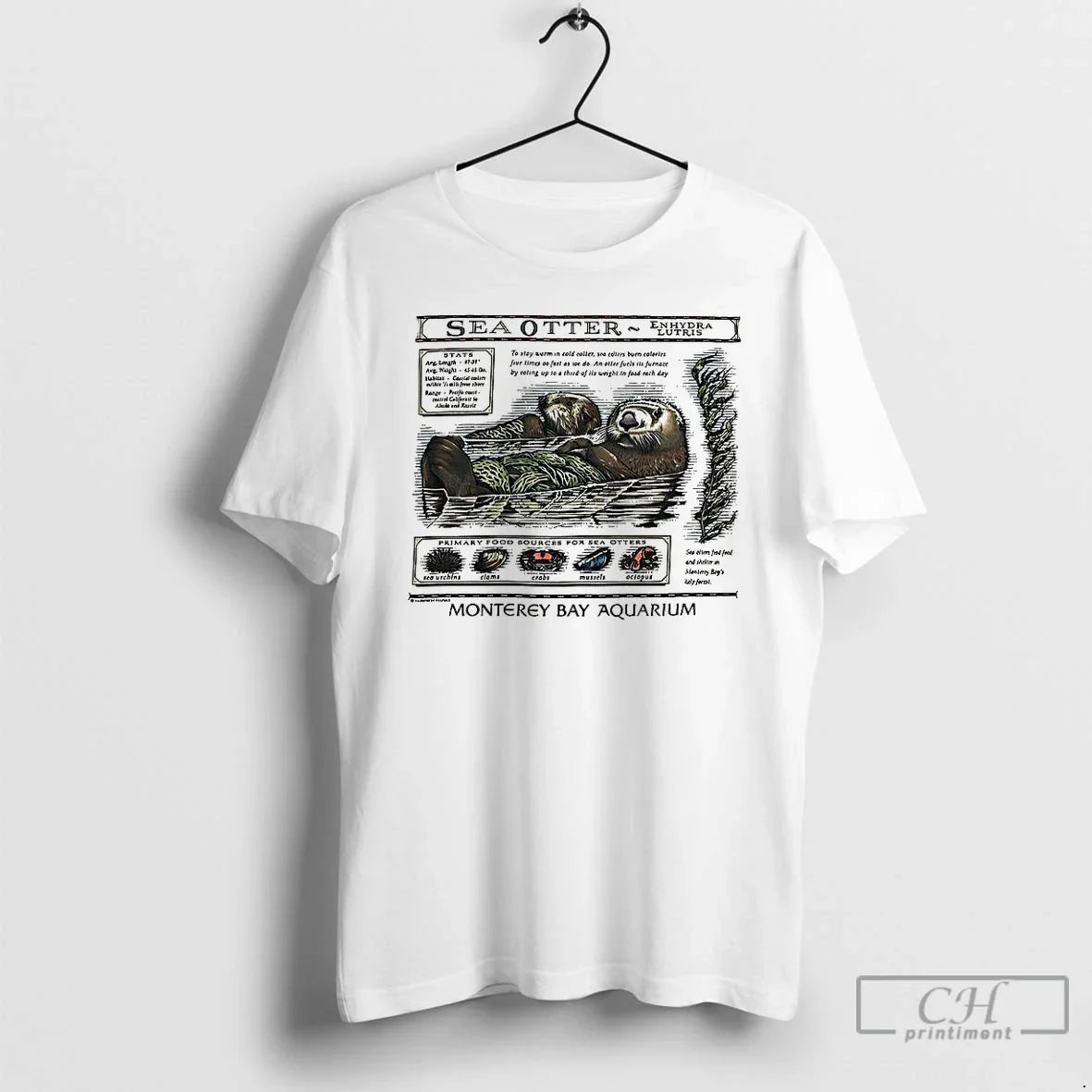 Classic Taylor Sea Otter Enhydra Lutris Monterey Bay - Adult & Kids T-Shirts, Sweatshirts & Hoodies apparel design preview 1