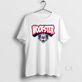 Original Woofster Milb Worcester Red Sox Logo - Adult & Kids T-Shirts, Sweatshirts & Hoodies apparel design preview 1