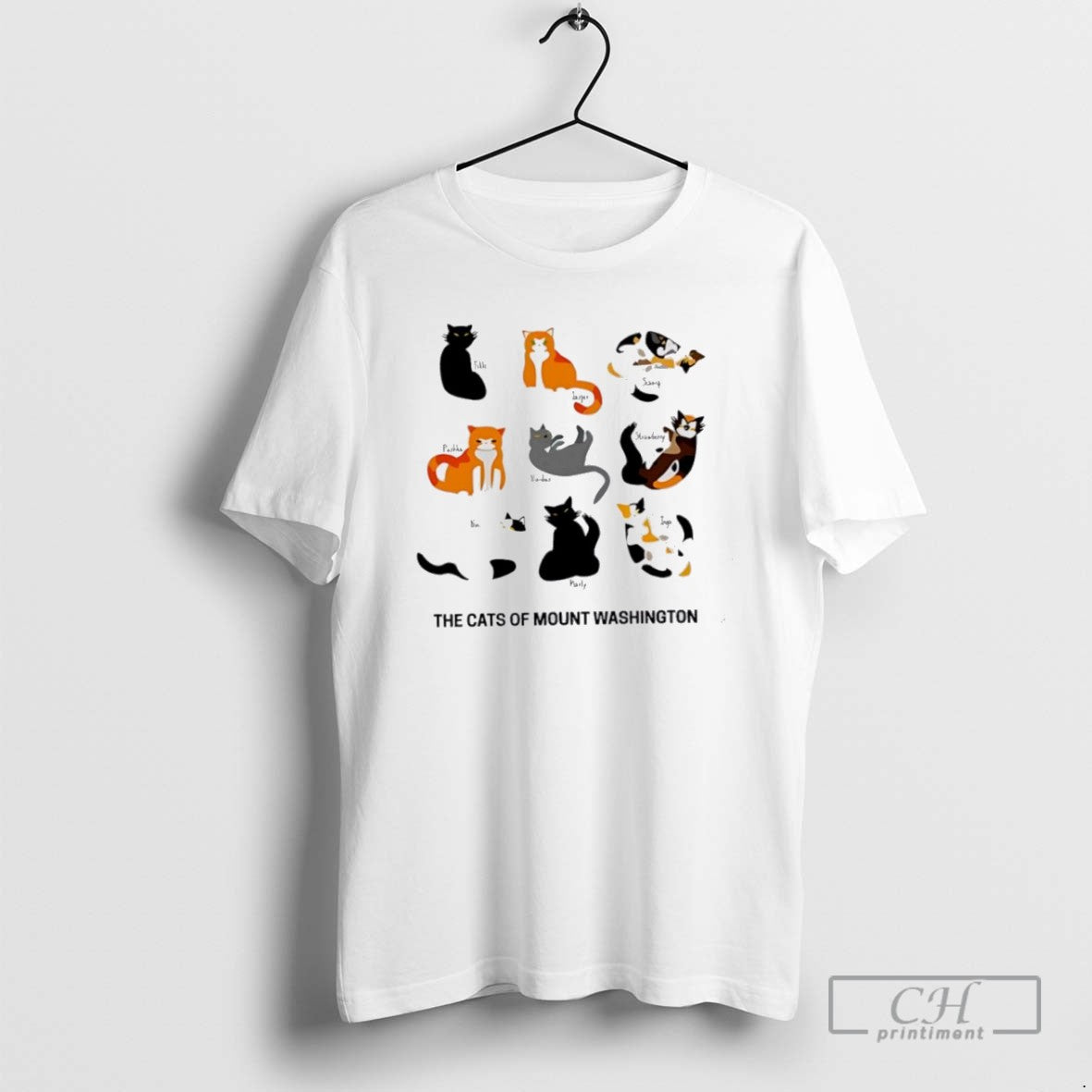 The Cats Of Mount Washington - Adult & Kids T-Shirts, Sweatshirts & Hoodies apparel design preview 1