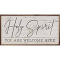 Holy Spirit Whitewash - Adult & Kids T-Shirts, Sweatshirts & Hoodies apparel design preview 1