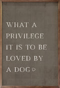 What A Privilege Dog - Adult & Kids T-Shirts, Sweatshirts & Hoodies apparel design preview 1