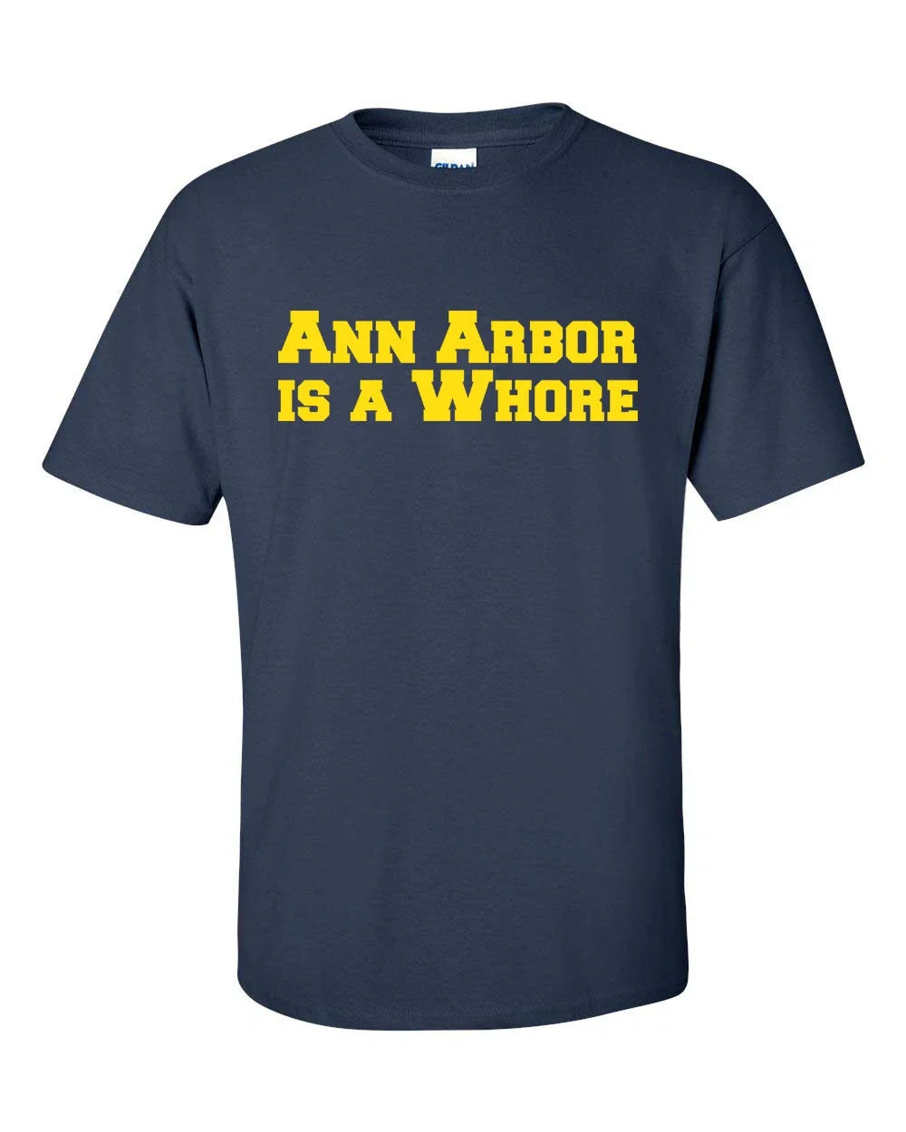 ANN ARBOR is a WHORE Michigan Ohio Funny College - Adult & Kids T-Shirts, Sweatshirts & Hoodies apparel design preview 1