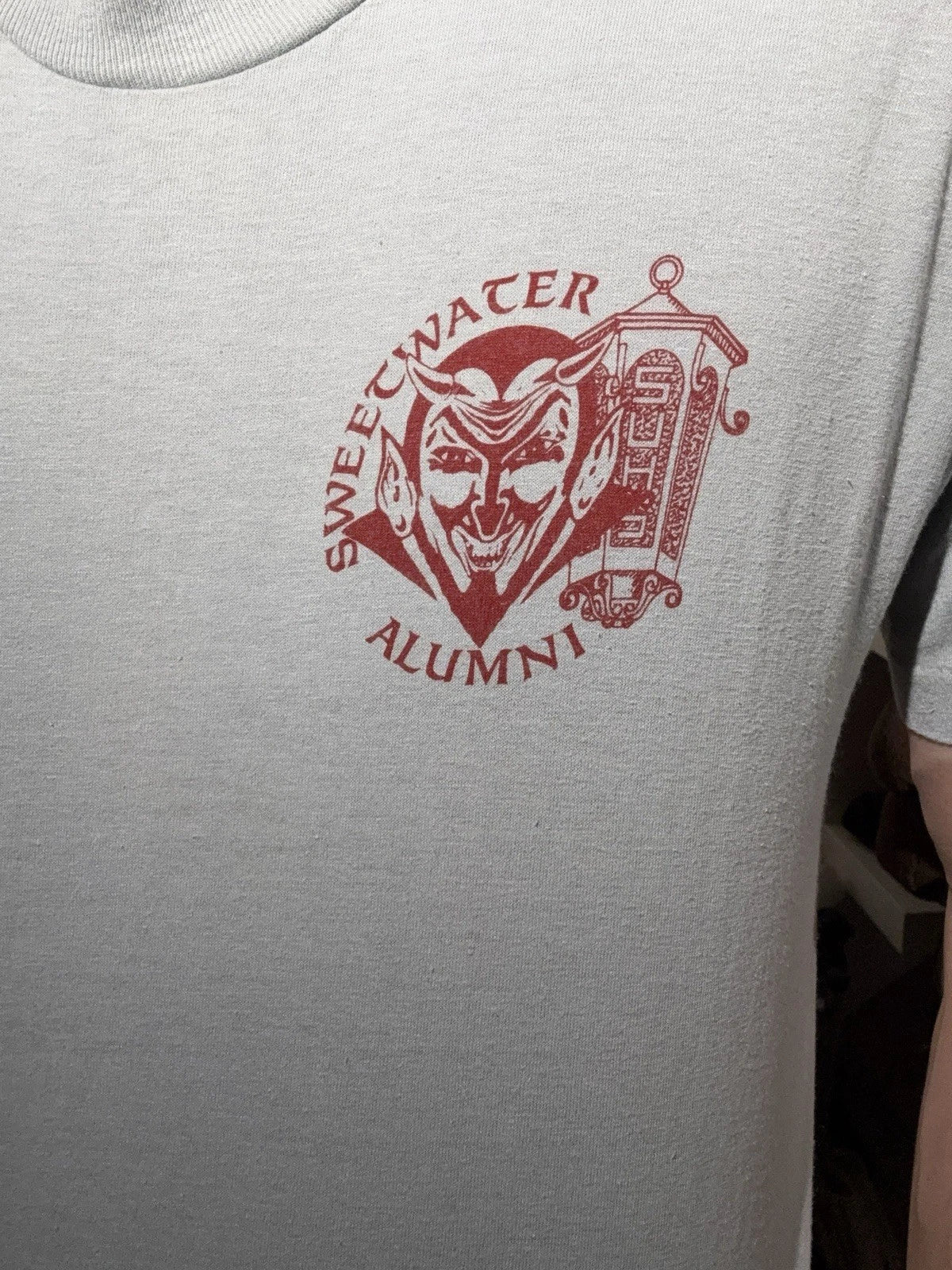 True Vintage Blue 80s Satanic Devil Sweetwater Alumni - Adult & Kids T-Shirts, Sweatshirts & Hoodies apparel design preview 1