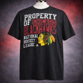 VTG Y2K Chicago Blackhawks NHL Distressed Graphic XL - Adult & Kids T-Shirts, Sweatshirts & Hoodies apparel design preview 1