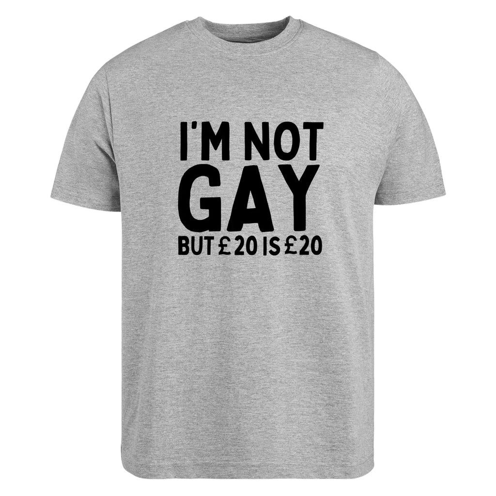 I'm Not Gay But 20 Is Funny Sarcastic Witty Hilarious - Adult & Kids T-Shirts, Sweatshirts & Hoodies apparel design preview 1