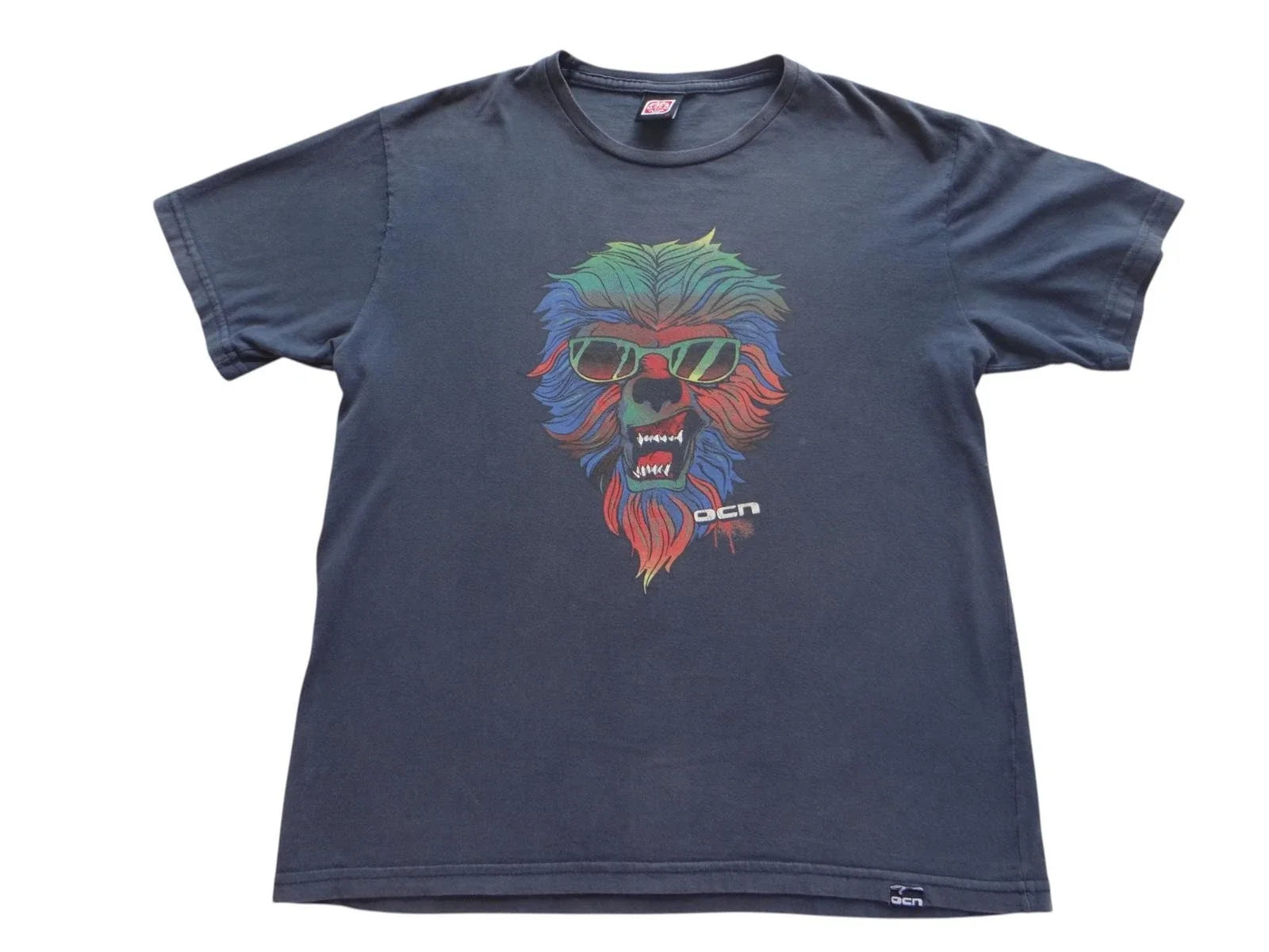 Stylish Graphic with Colorful Lion Design OCN Brand - Adult & Kids T-Shirts, Sweatshirts & Hoodies apparel design preview 1