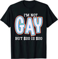 I'm Not Gay But �20 Is Funny Joke Humour Gift - Adult & Kids T-Shirts, Sweatshirts & Hoodies apparel design preview 1