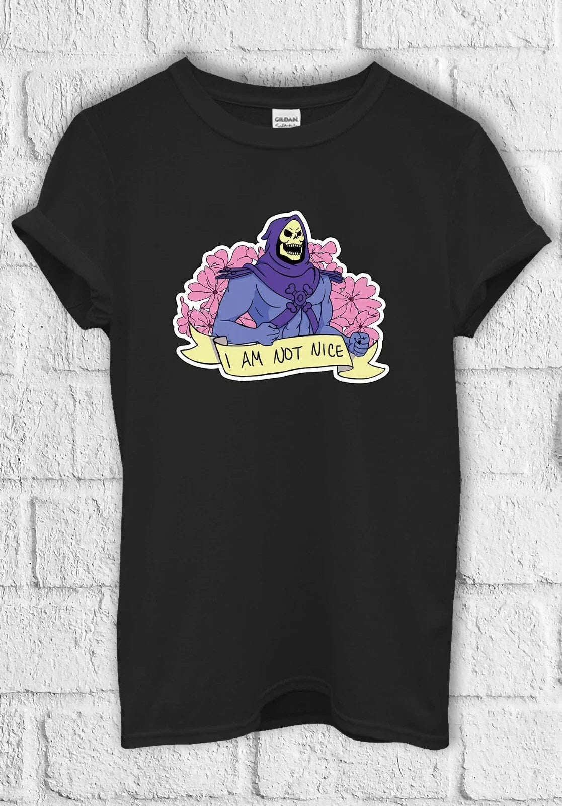 I Am Not Nice Skeletor He-Man Men Women Unisex 2170 - Adult & Kids T-Shirts, Sweatshirts & Hoodies apparel design preview 1