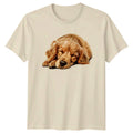 Sleeping Golden Retriever Dogs Animals Mens Womens - Adult & Kids T-Shirts, Sweatshirts & Hoodies apparel design preview 1