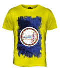 STATE VIRGINIA GRUNGE FLAG MENS XS S M L XL 2XL 3XL - Adult & Kids T-Shirts, Sweatshirts & Hoodies apparel design preview 1