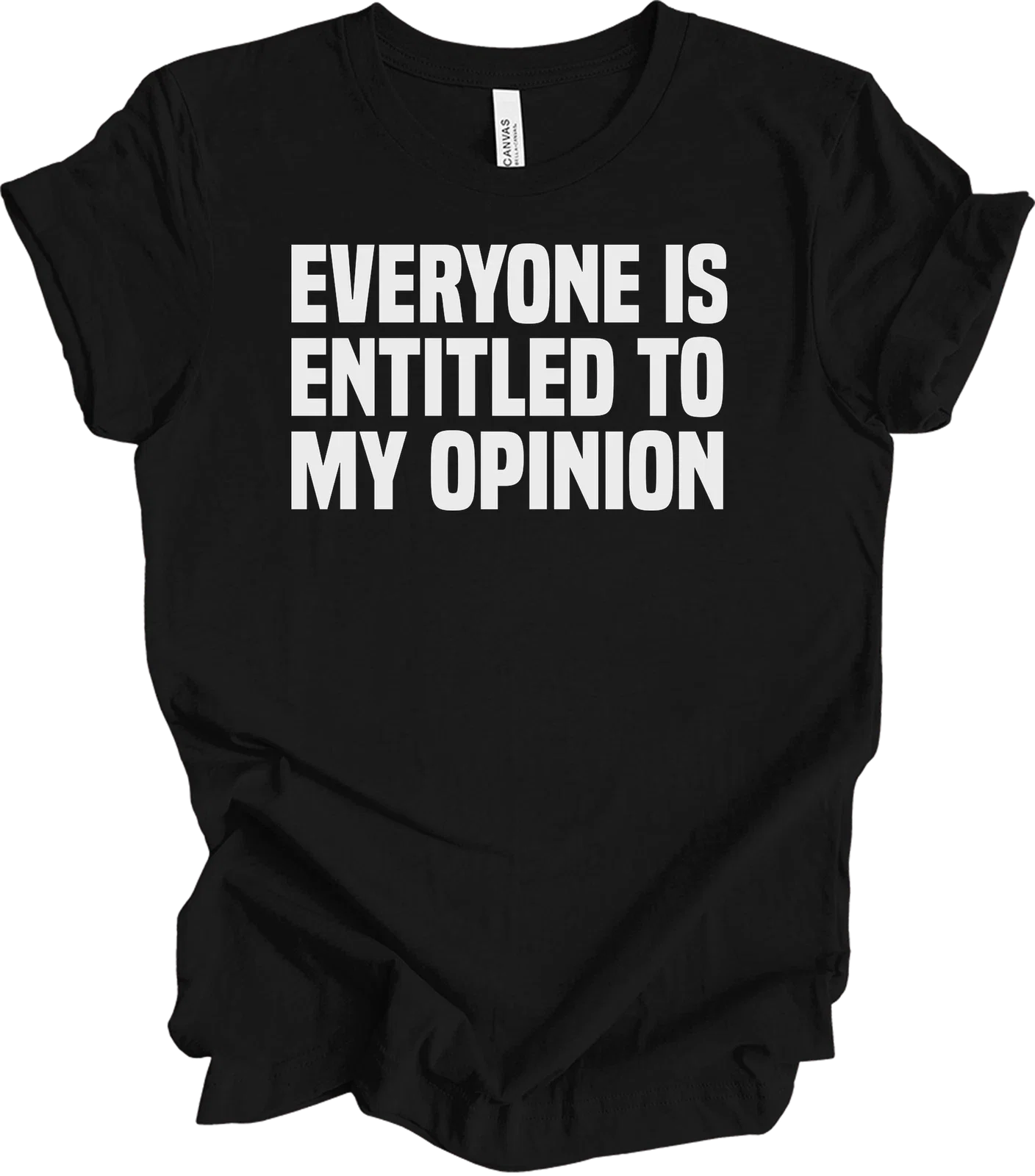 Everyone Is Entitled To My Opinion Funny Sarcastic - Adult & Kids T-Shirts, Sweatshirts & Hoodies apparel design preview 1