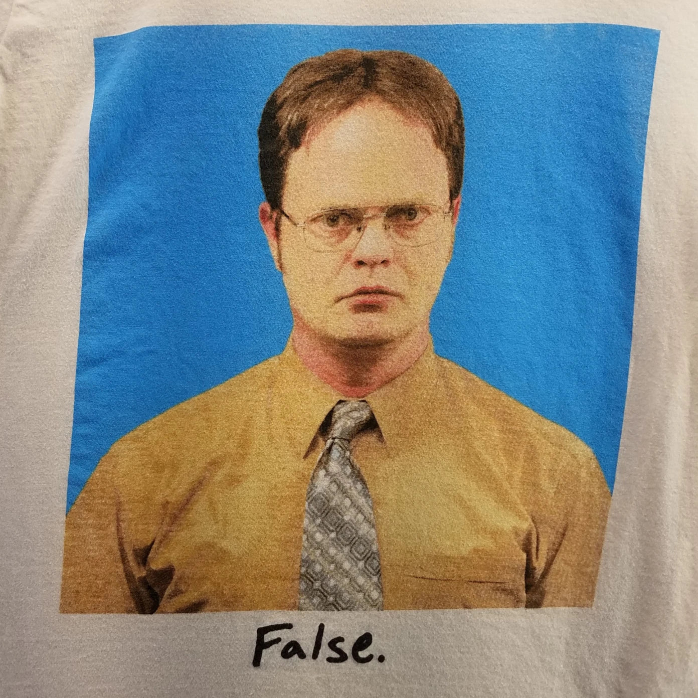 The Office Dwight Schrute False Logo Mens Size S - Adult & Kids T-Shirts, Sweatshirts & Hoodies apparel design preview 1