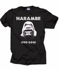 Harambe Meme RIP - Adult & Kids T-Shirts, Sweatshirts & Hoodies apparel design preview 1