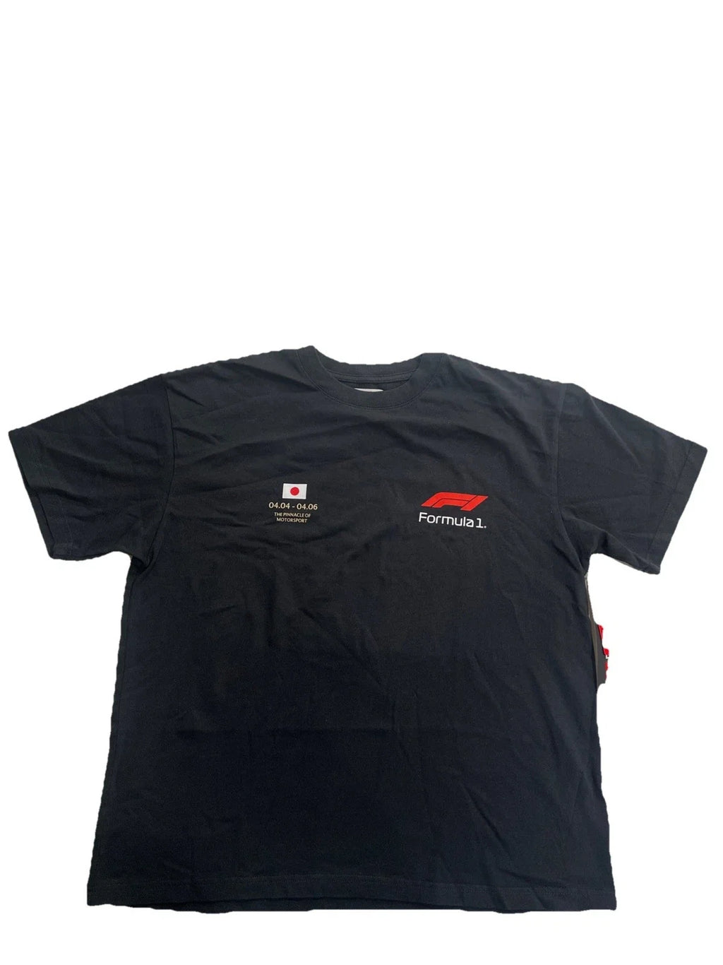 Pacsun Formula 1 Speed Oversized SS Black Size L - Adult & Kids T-Shirts, Sweatshirts & Hoodies apparel design preview 1