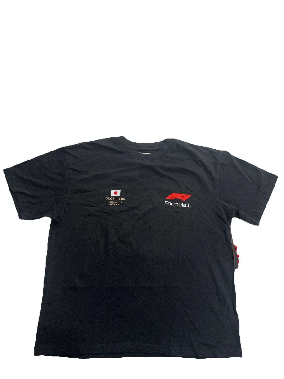 Pacsun Formula 1 Speed Oversized SS Black Size L - Adult & Kids T-Shirts, Sweatshirts & Hoodies apparel design preview 1