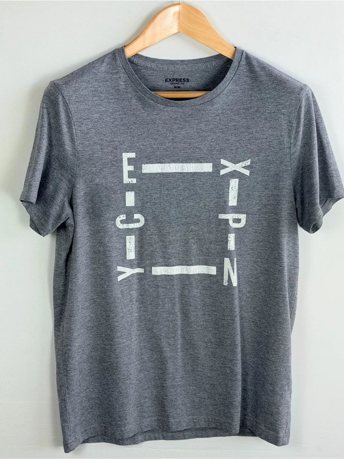 Express Gray Graphic Modern Minimalist Short Sleeve - Adult & Kids T-Shirts, Sweatshirts & Hoodies apparel design preview 1
