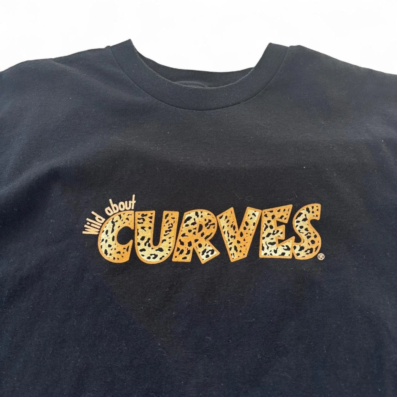 Y2K Wild About Curves leopard print graphic Hanes - Adult & Kids T-Shirts, Sweatshirts & Hoodies apparel design preview 1