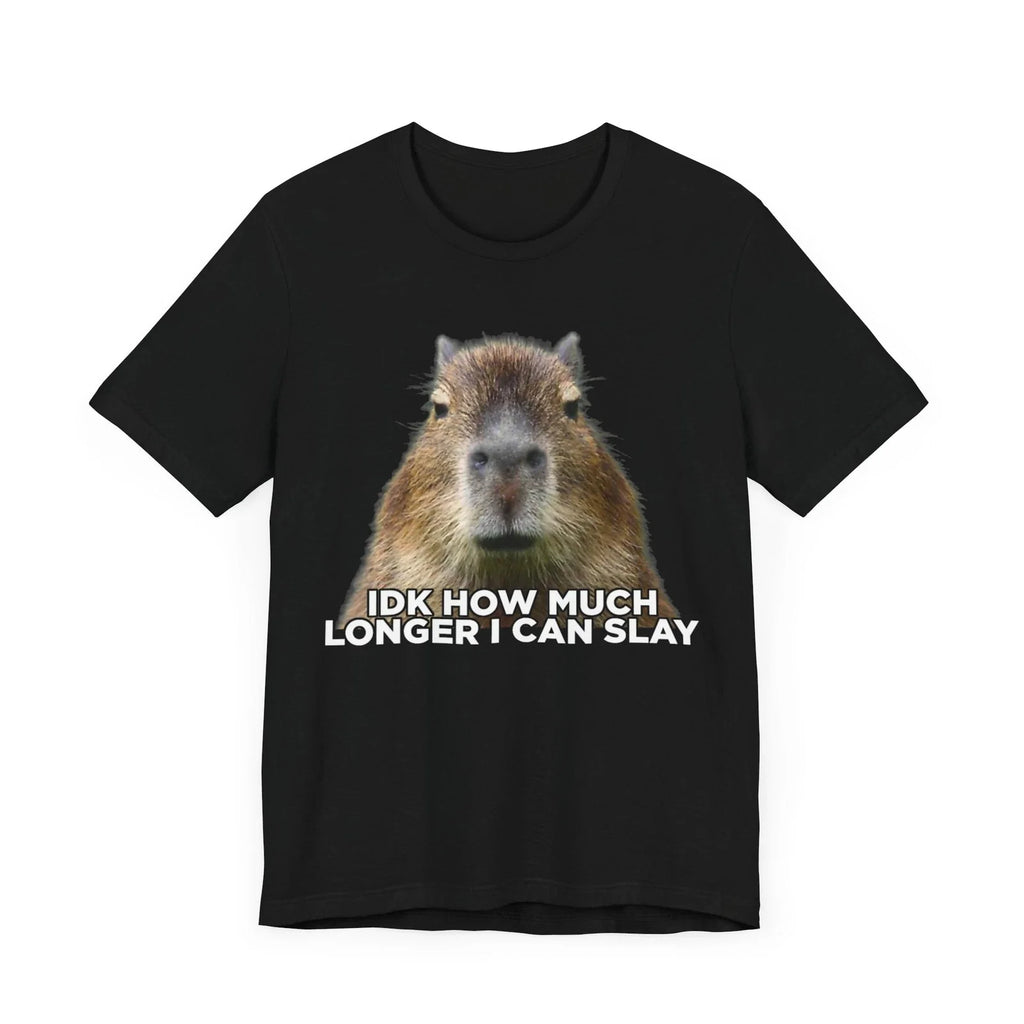 Idk How Much Longer I Can Slay Capybara Sarcastic - Adult & Kids T-Shirts, Sweatshirts & Hoodies apparel design preview 1