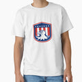 American Bald Eagle Head Flag Shield T-Shirt - Aesthetic Graphic for Adults - T-Shirt, Sweatshirt, Hoodie