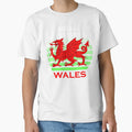 Wales S T-Shirt - Graphic Print Unisex - T-Shirt, Sweatshirt, Hoodie