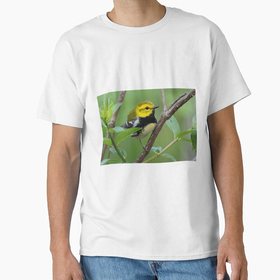 Black-throated Green Warbler by WorldDesign - Adult & Kids T-Shirts, Sweatshirts & Hoodies apparel design preview 1