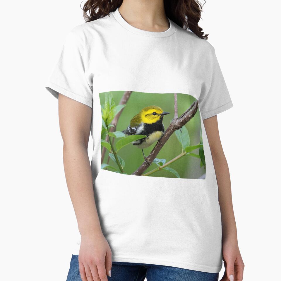 Black-throated Green Warbler by WorldDesign - Adult & Kids T-Shirts, Sweatshirts & Hoodies apparel design preview 2